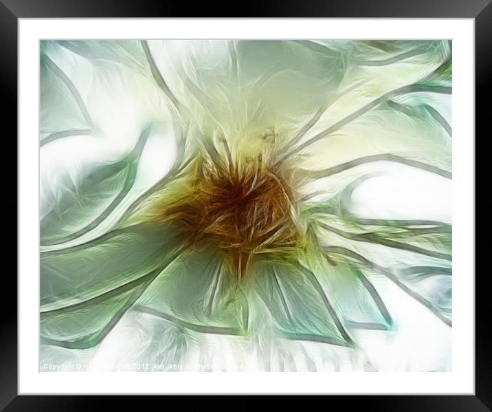 Petals Framed Mounted Print by Howard Corlett