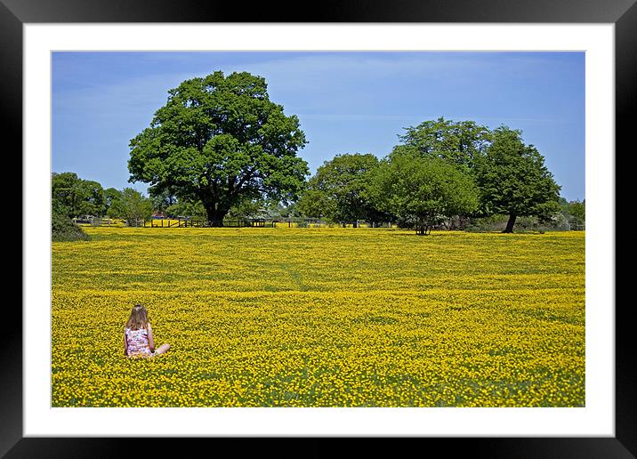 Girl in buttercup meadow Framed Mounted Print by Howard Corlett