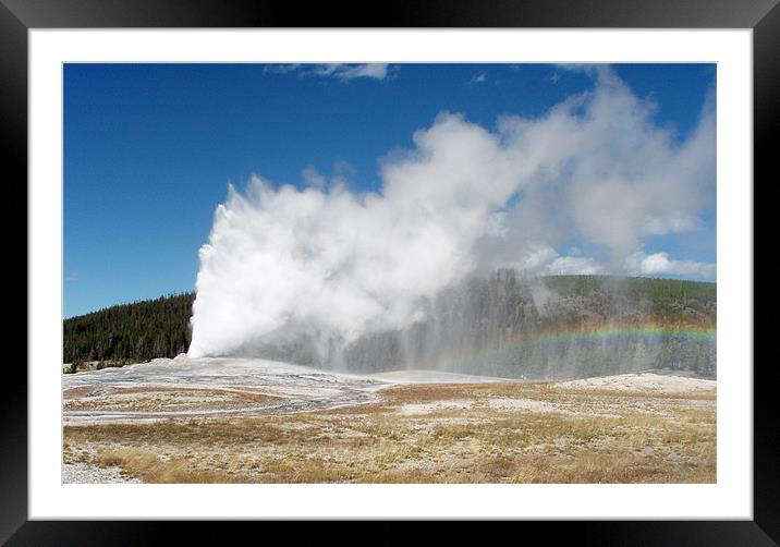 Old Faithful Framed Mounted Print by Coralena Watts