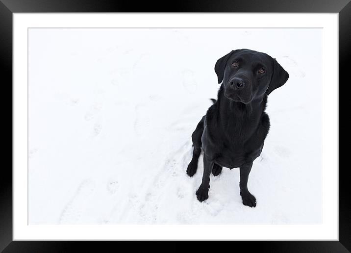 Snow Business Framed Mounted Print by Simon Wrigglesworth