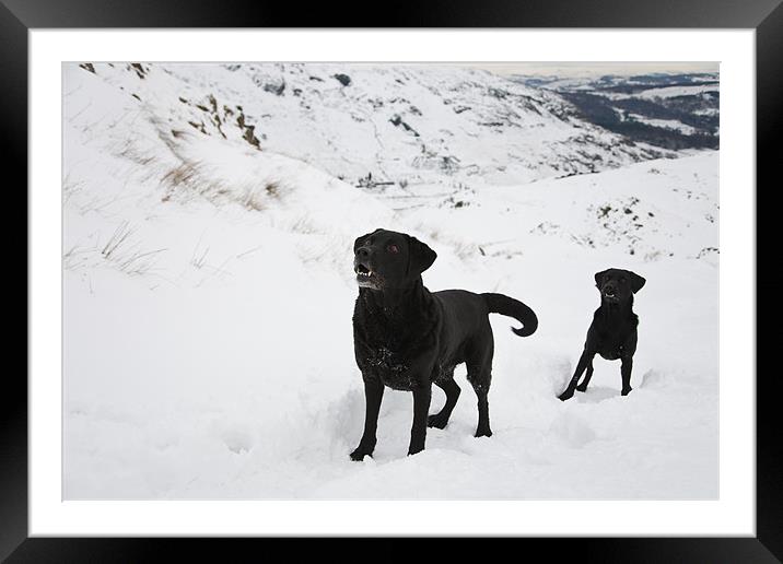 wow are we going up there dad! Framed Mounted Print by Simon Wrigglesworth