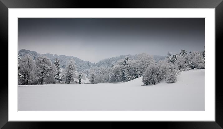 Winter Trees Framed Mounted Print by Simon Wrigglesworth