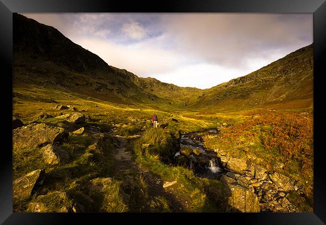 Autumn Walker Framed Print by Simon Wrigglesworth