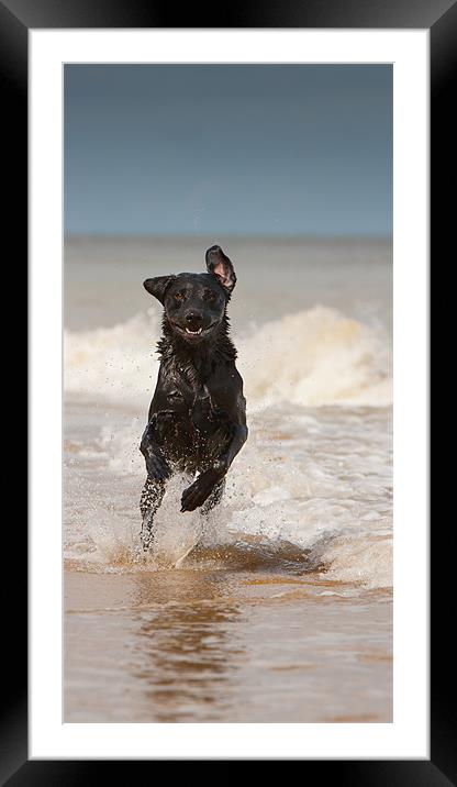 Happiness is Wet Framed Mounted Print by Simon Wrigglesworth