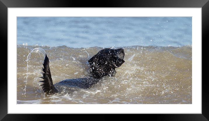 Heading out to sea Framed Mounted Print by Simon Wrigglesworth