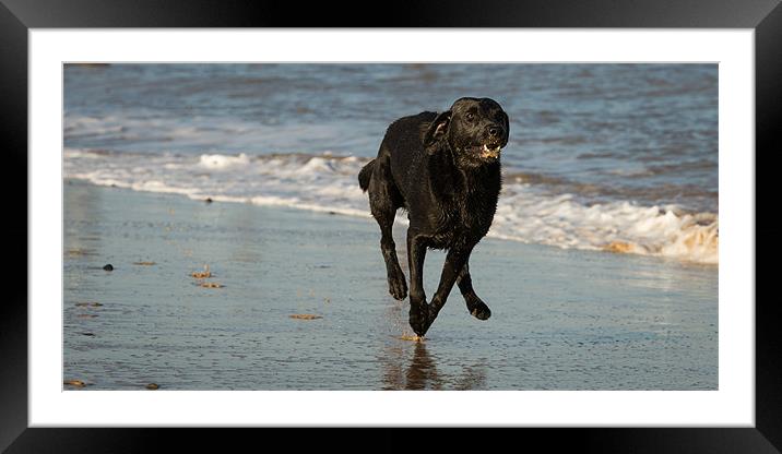 Flat out Framed Mounted Print by Simon Wrigglesworth