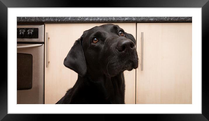 The Kitchen Appliance Framed Mounted Print by Simon Wrigglesworth