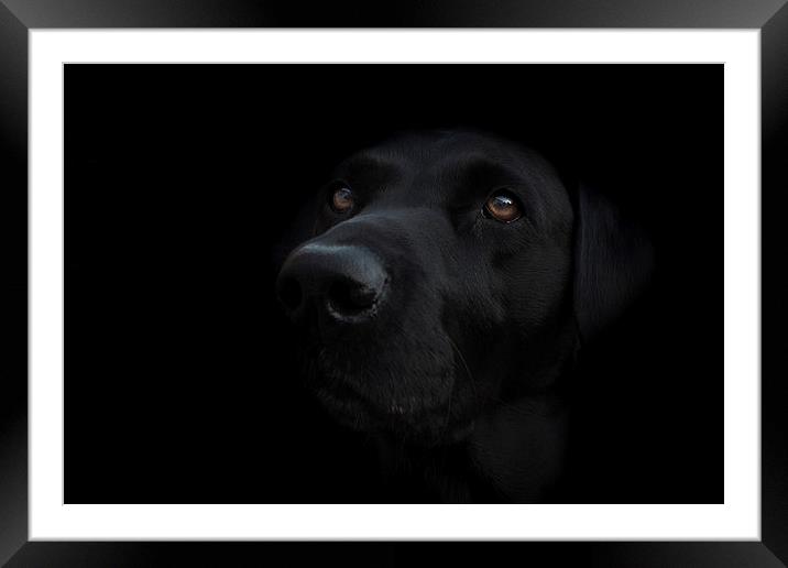 Dark Portrait Framed Mounted Print by Simon Wrigglesworth