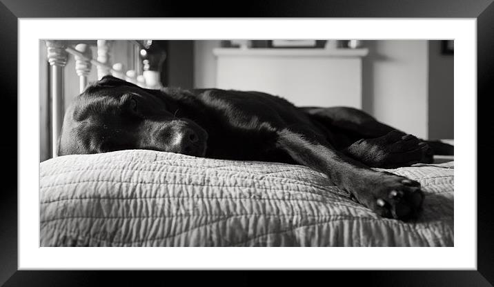 Tired Boy Framed Mounted Print by Simon Wrigglesworth