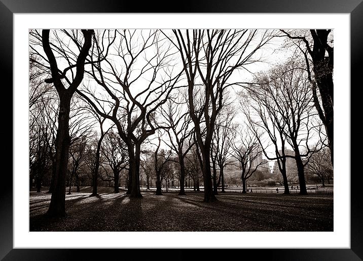 Central Park New York Framed Mounted Print by Simon Wrigglesworth