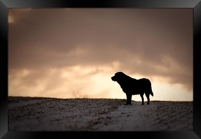 The End of Days Framed Print by Simon Wrigglesworth