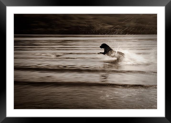 The need for speed Framed Mounted Print by Simon Wrigglesworth
