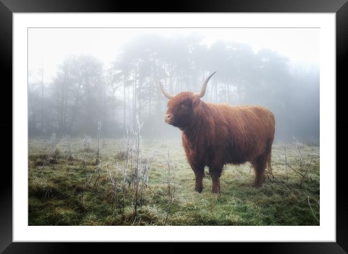 Highland in the mist Framed Mounted Print by Simon Wrigglesworth