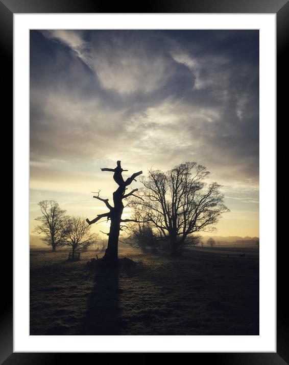 Totem Tree Framed Mounted Print by Simon Wrigglesworth