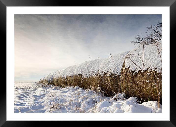 Snow bales - Norfolk Framed Mounted Print by Simon Wrigglesworth