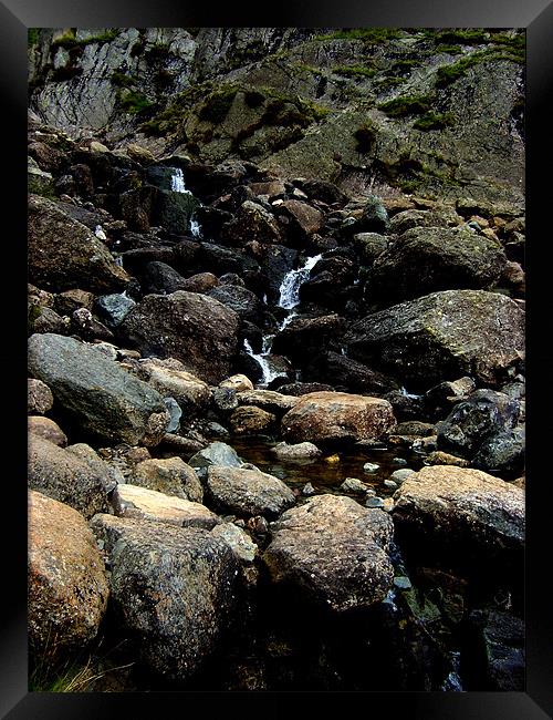 Stepping stones over Dungeon Ghyll Framed Print by Tony Watson