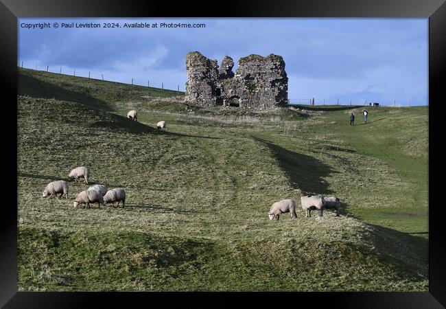 Lammer Castle with sheep  Framed Print by Paul Leviston