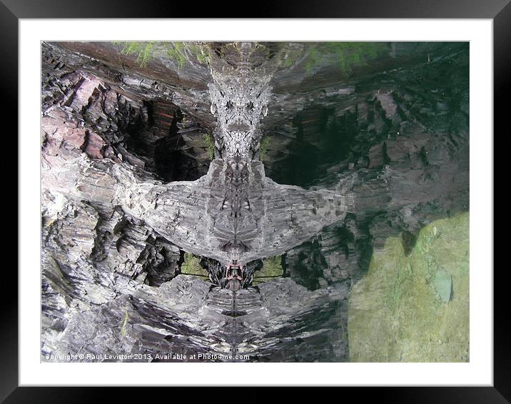 6. Hodge Close Skull Framed Mounted Print by Paul Leviston