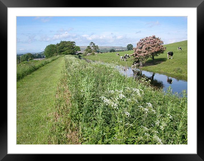 Lancaster Canal  Framed Mounted Print by Paul Leviston