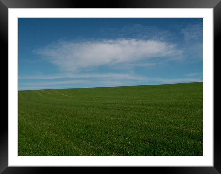 Summer Field Framed Mounted Print by Paul Leviston