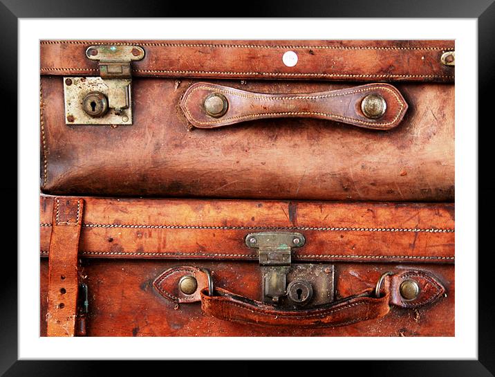 luggage Framed Mounted Print by Will Black