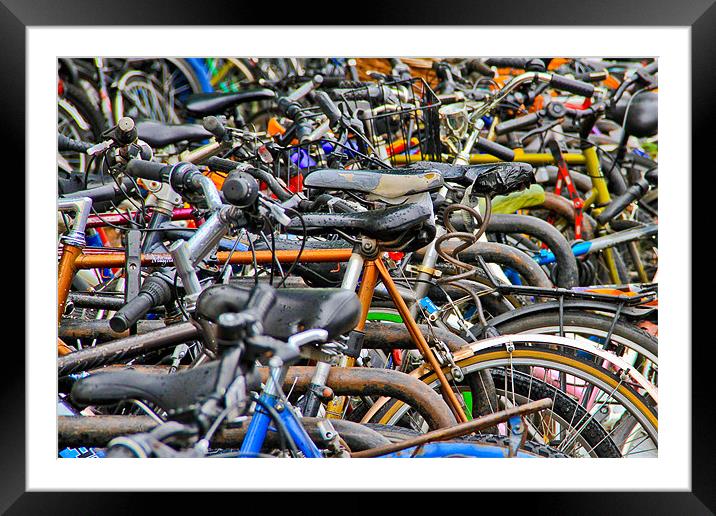Bicycles galore Framed Mounted Print by Will Black