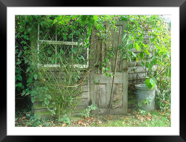 Garden Shed Framed Mounted Print by Will Black