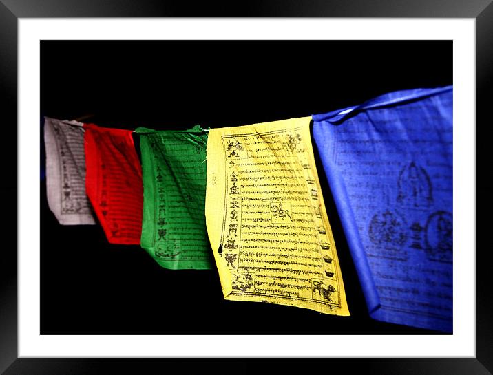 Tibetan Flag Framed Mounted Print by Will Black