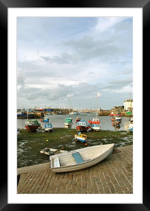The Inner Harbour at Brixham Framed Mounted Print by graham young