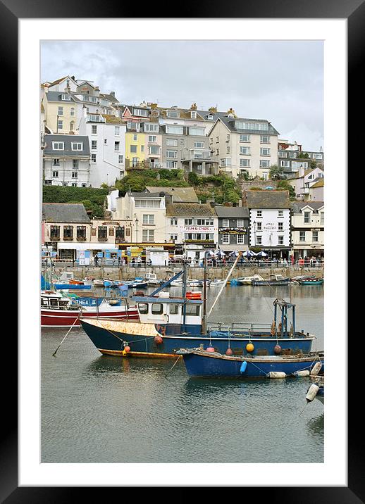 Brixham Harbour, Devon Framed Mounted Print by graham young