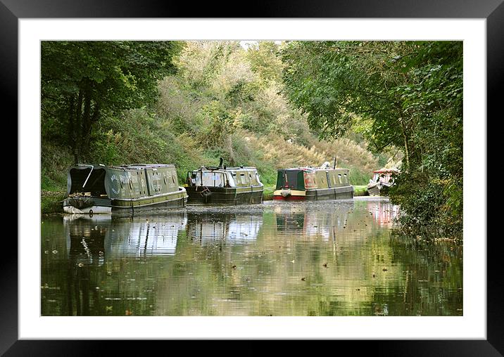 Narrowboats on the Tring Cutting Framed Mounted Print by graham young