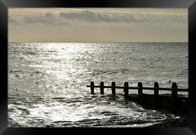 Sunlit Sea Framed Print by graham young