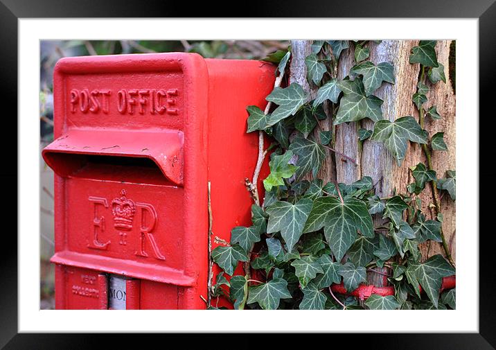 Post Box and Ivy Framed Mounted Print by graham young