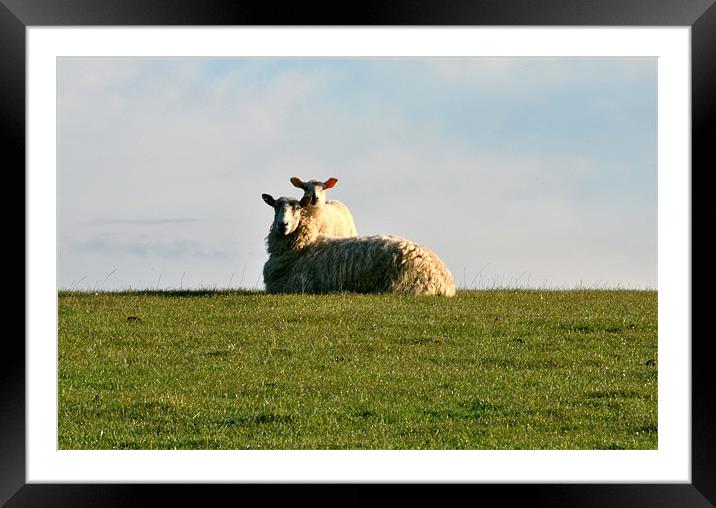 Baack Off Framed Mounted Print by graham young