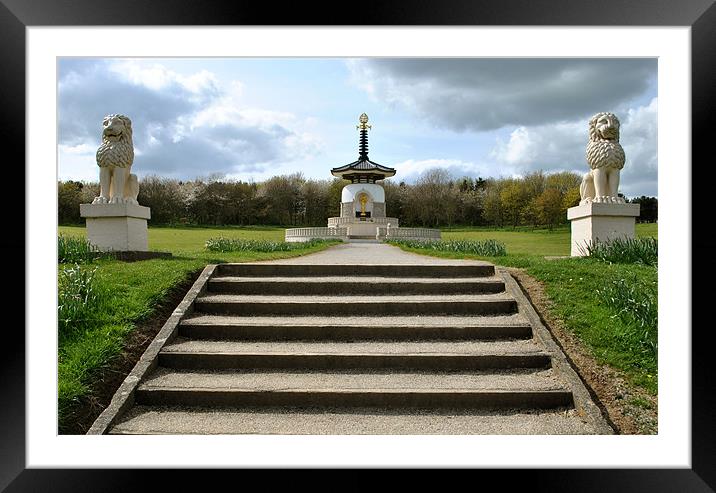 The Peace Pagoda Framed Mounted Print by graham young