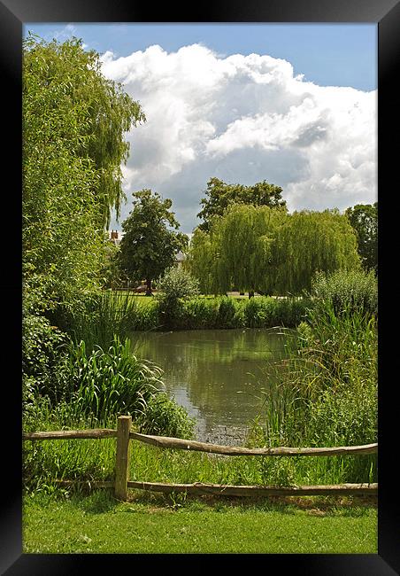 The Pond on Ham Common Framed Print by graham young