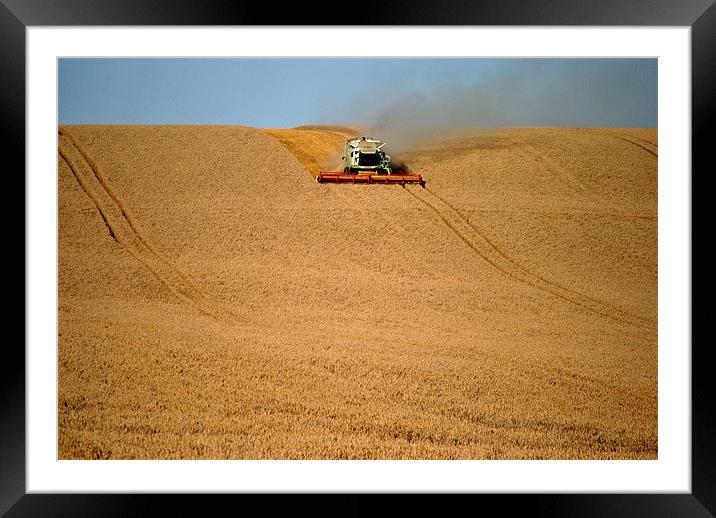 The First Cut Framed Mounted Print by graham young