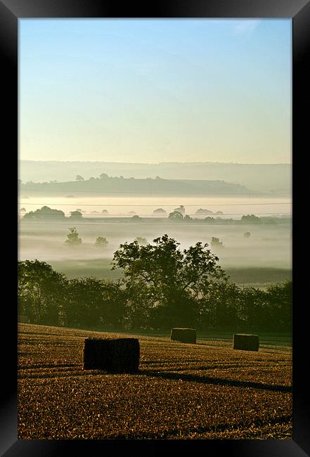 Harvest Dawn Framed Print by graham young