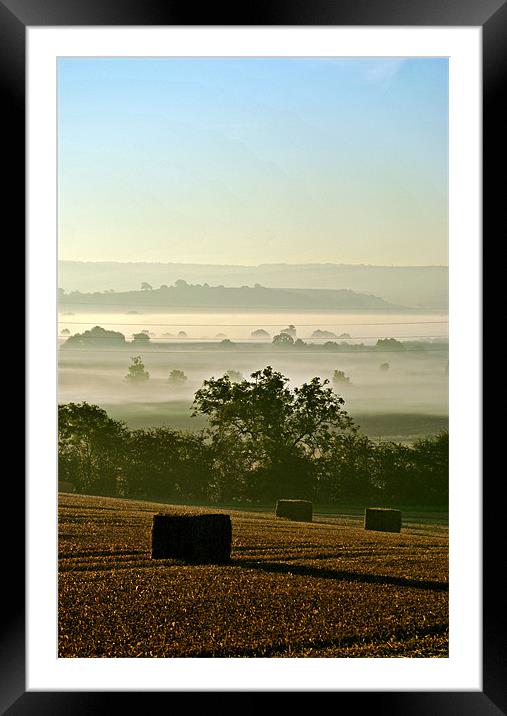 Harvest Dawn Framed Mounted Print by graham young