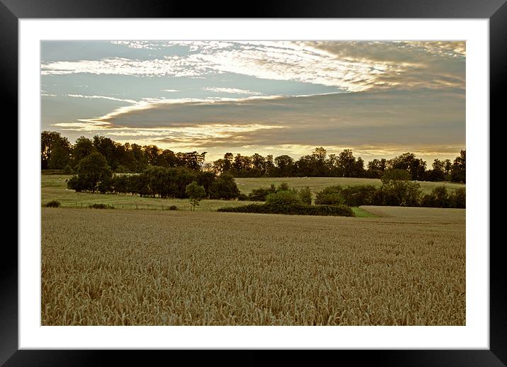The Evening Before the Harvest Framed Mounted Print by graham young
