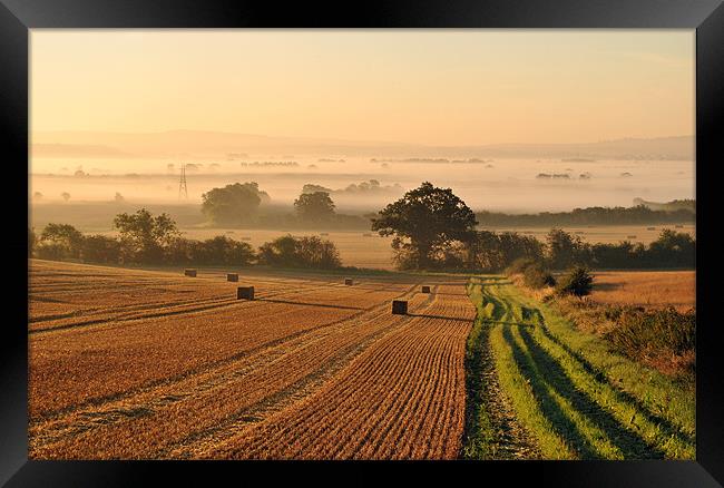 Harvest Dawn in the Vale Framed Print by graham young