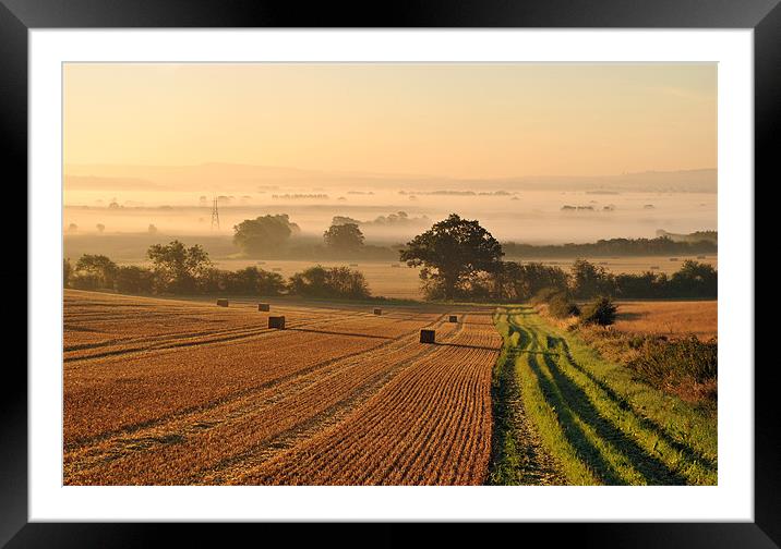 Harvest Dawn in the Vale Framed Mounted Print by graham young