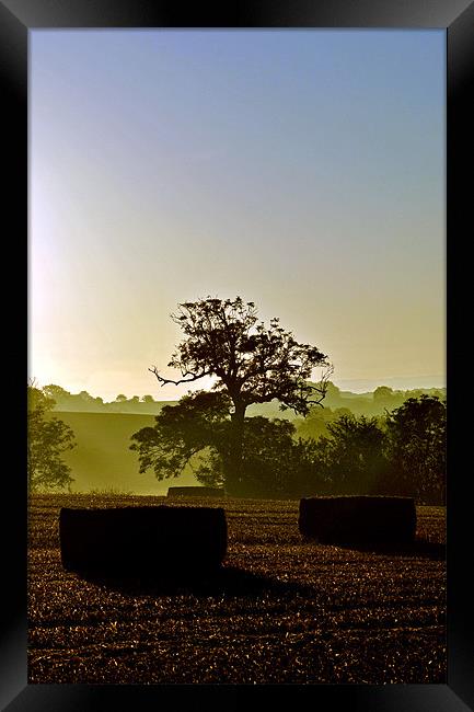 Harvest Dawn Framed Print by graham young