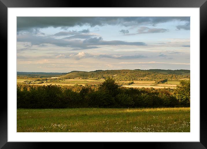 The Chilterns Framed Mounted Print by graham young