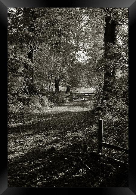 Tring Park Framed Print by graham young