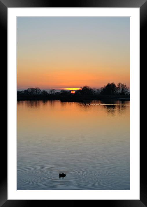A Paddle at Sunset Framed Mounted Print by graham young