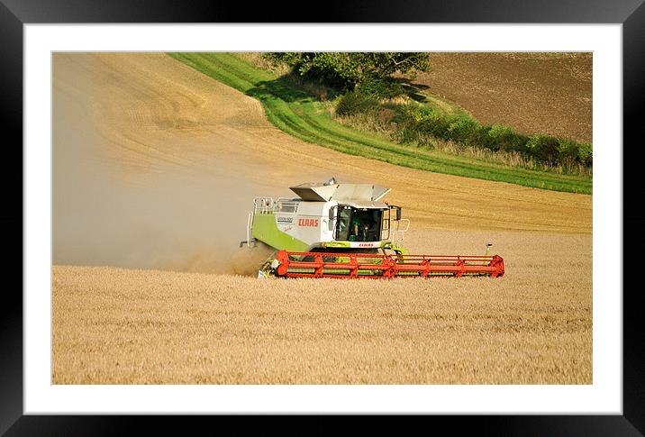 Combine Harvesting! Framed Mounted Print by graham young