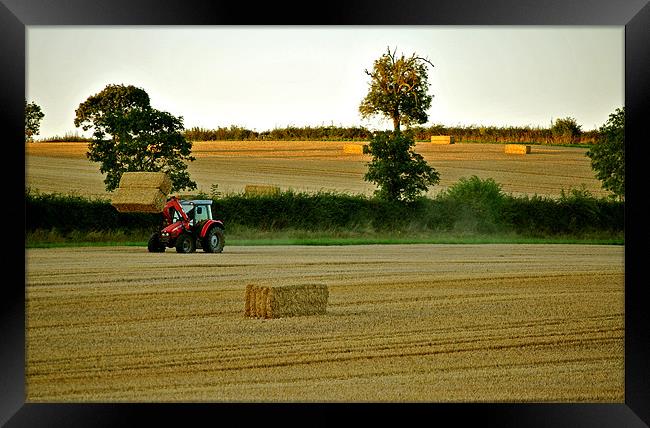 After the Harvest Framed Print by graham young