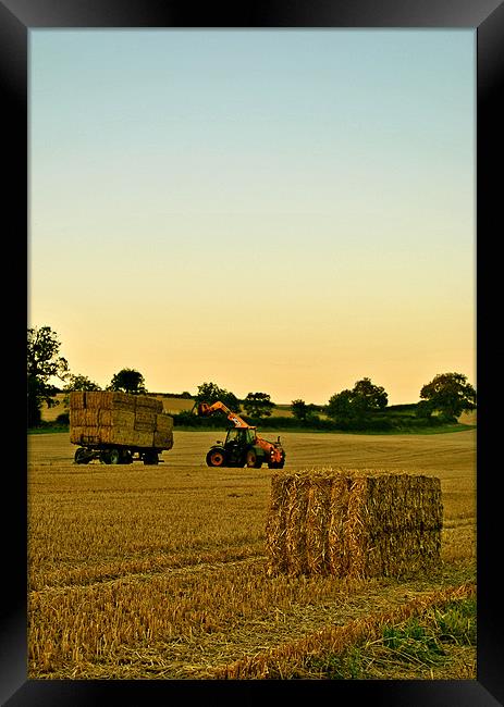 Loading the Bales Framed Print by graham young