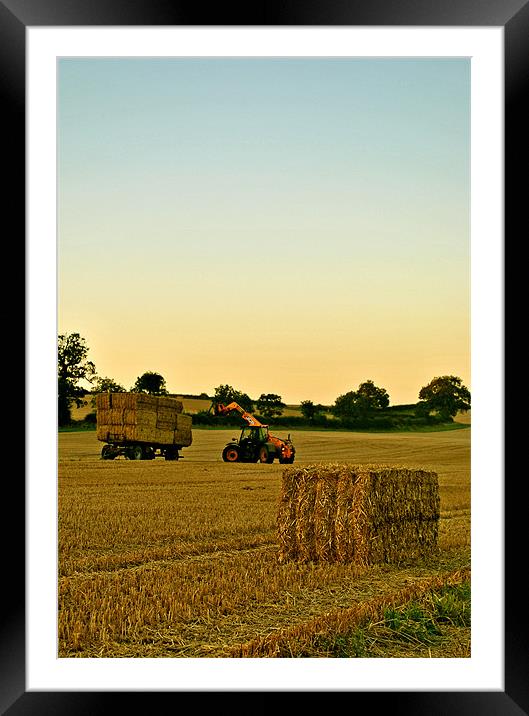 Loading the Bales Framed Mounted Print by graham young
